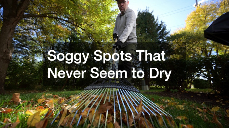 Soggy Spots That Never Seem to Dry
