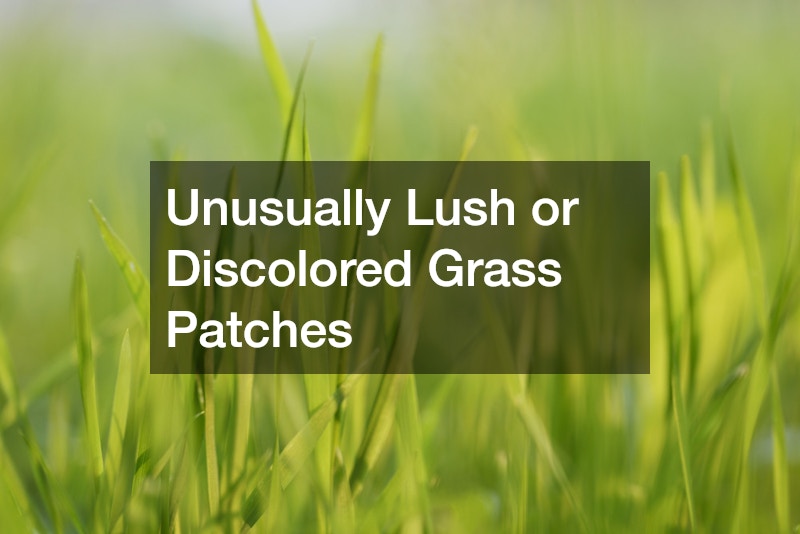 Unusually Lush or Discolored Grass Patches