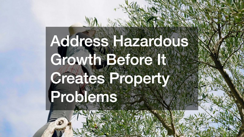 Address Hazardous Growth Before It Creates Property Problems