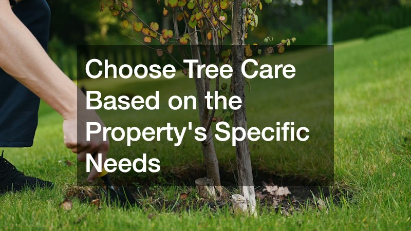 Choose Tree Care Based on the Property