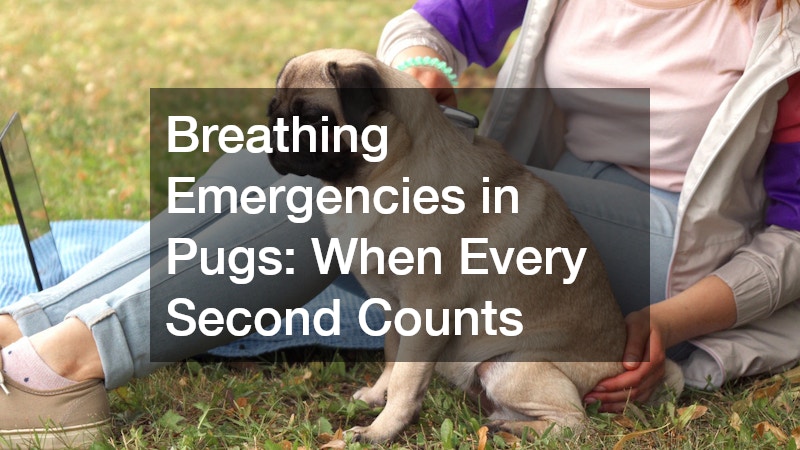 Breathing Emergencies in Pugs: When Every Second Counts