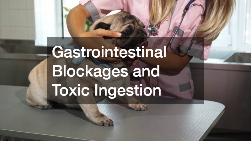 Gastrointestinal Blockages and Toxic Ingestion