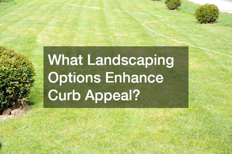 What Landscaping Options Enhance Curb Appeal?