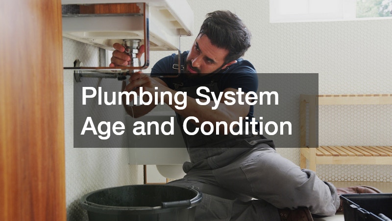 Plumbing System Age and Condition