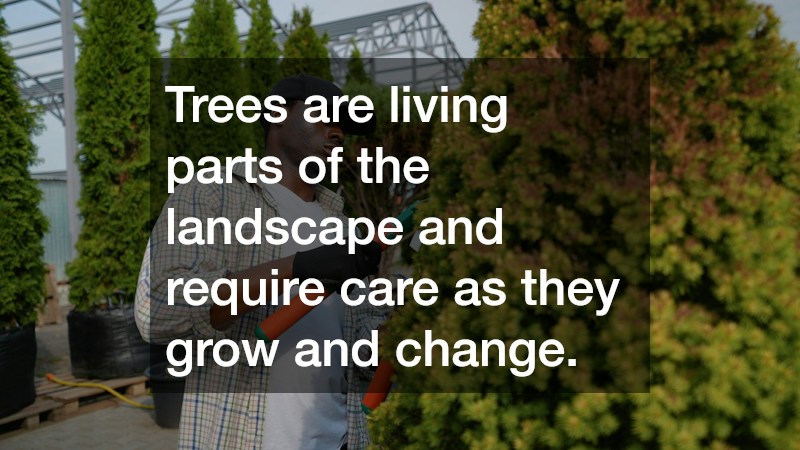 Trees are living parts of the landscape and require care as they grow and change.