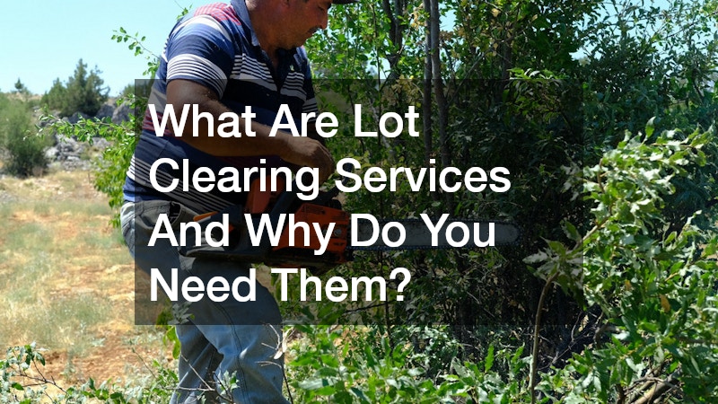 What Are Lot Clearing Services And Why Do You Need Them?