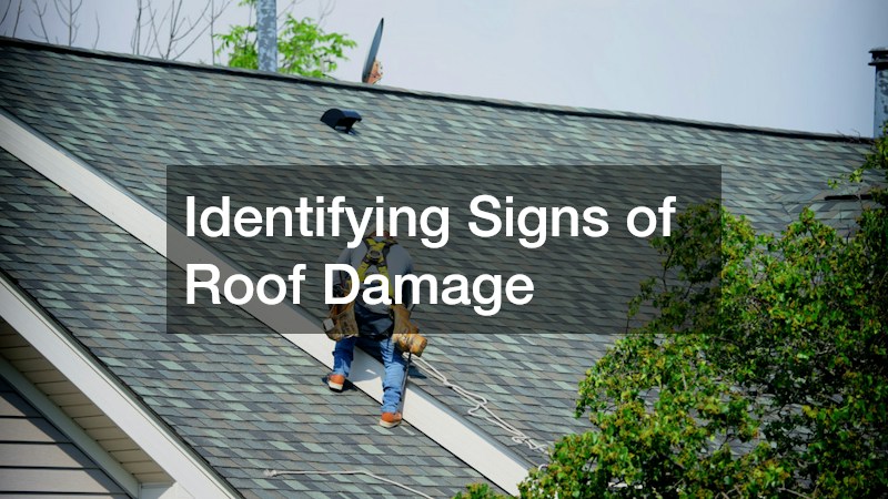 Identifying Signs of Roof Damage