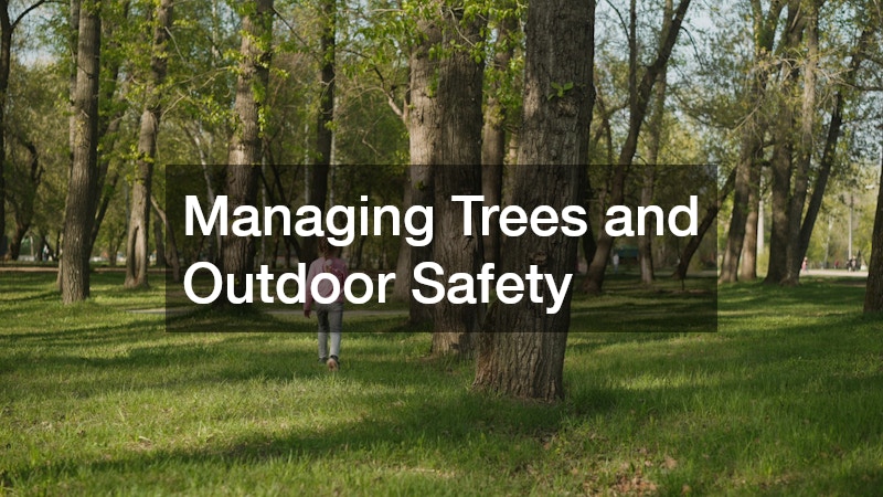 Managing Trees and Outdoor Safety