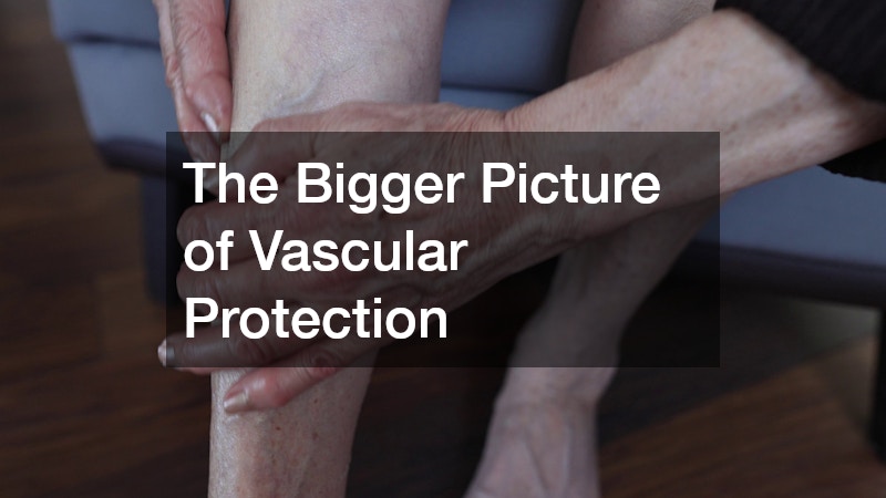The Bigger Picture of Vascular Protection