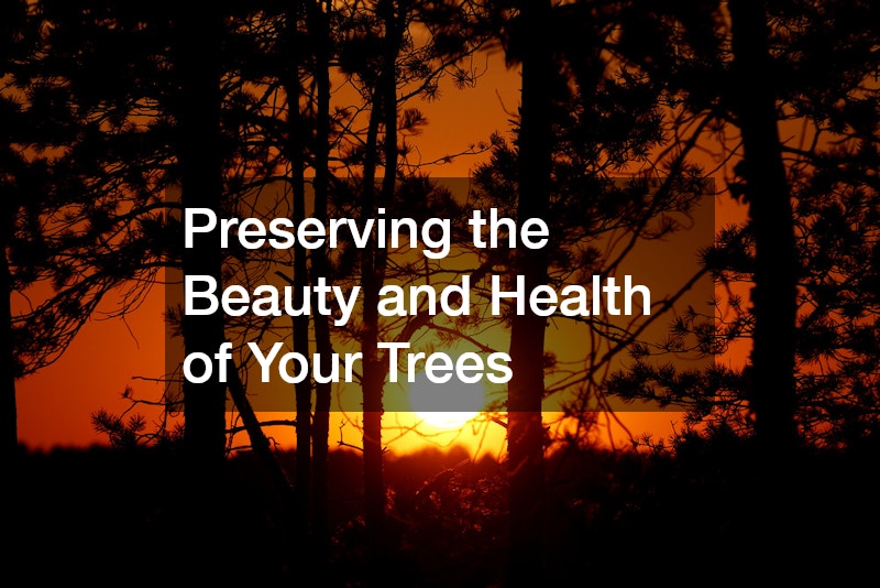 Preserving the Beauty and Health of Your Trees