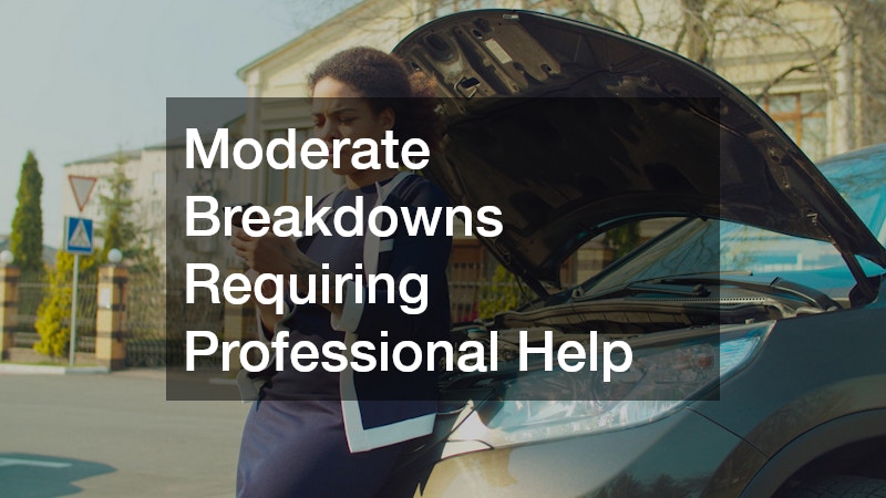 Moderate Breakdowns Requiring Professional Help