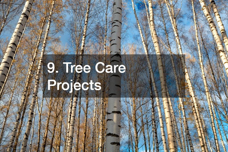 9. Tree Care Projects