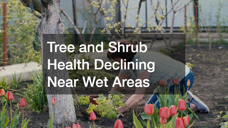 Tree and Shrub Health Declining Near Wet Areas