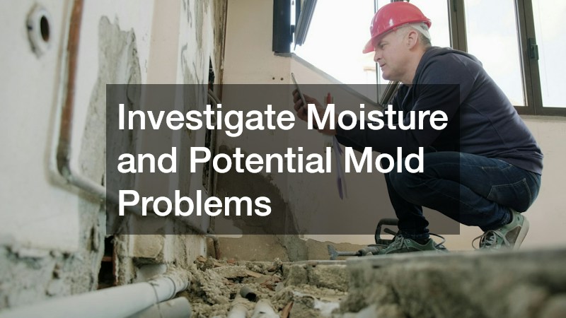 Investigate Moisture and Potential Mold Problems