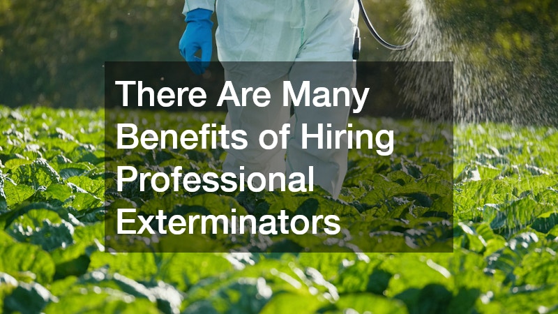 There Are Many Benefits of Hiring Professional Exterminators