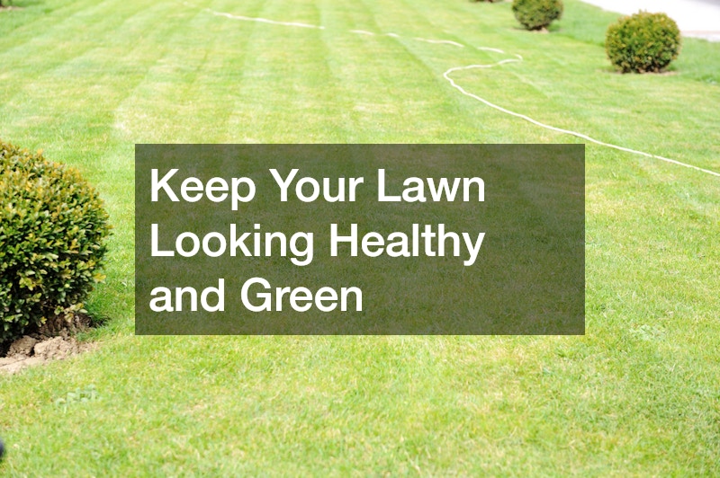 Keep Your Lawn Looking Healthy and Green