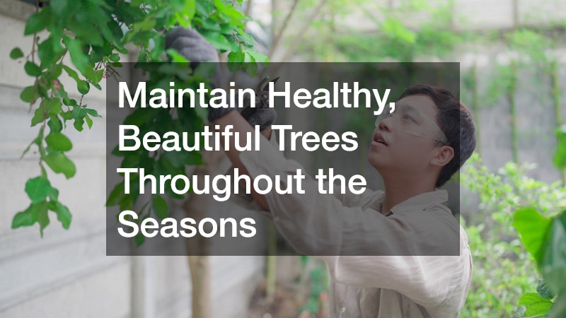 Maintain Healthy, Beautiful Trees Throughout the Seasons