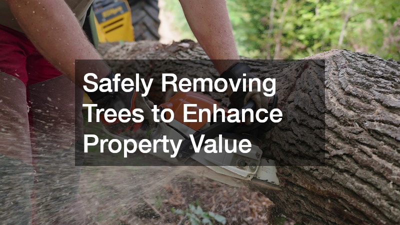 Safely Removing Trees to Enhance Property Value