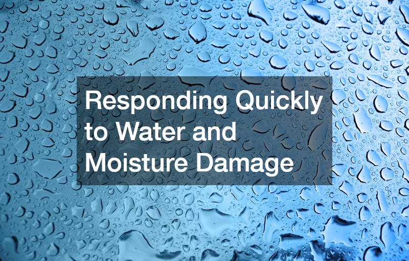 Responding Quickly to Water and Moisture Damage