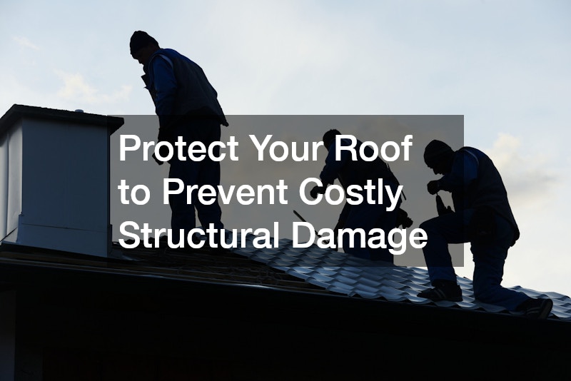 Protect Your Roof to Prevent Costly Structural Damage