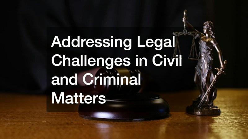 Addressing Legal Challenges in Civil and Criminal Matters