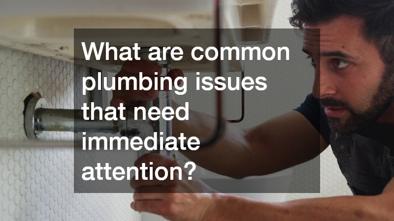 What are common plumbing issues that need immediate attention?