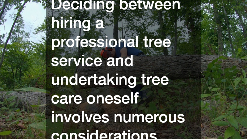Deciding between hiring a professional tree service and undertaking tree care oneself involves numerous considerations.