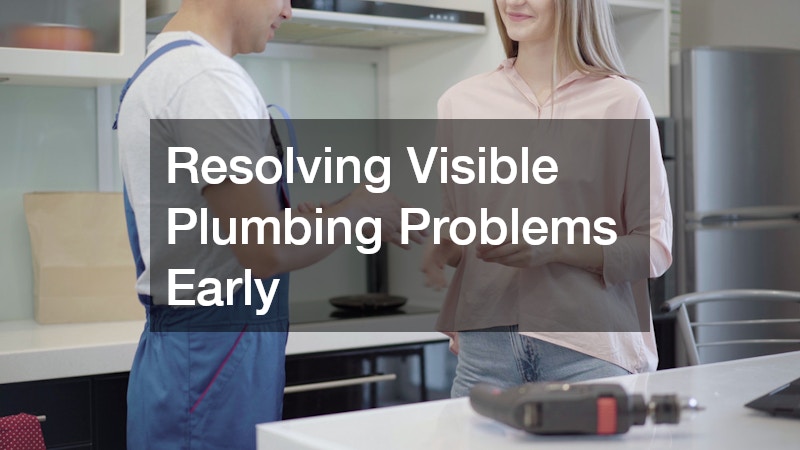 Resolving Visible Plumbing Problems Early