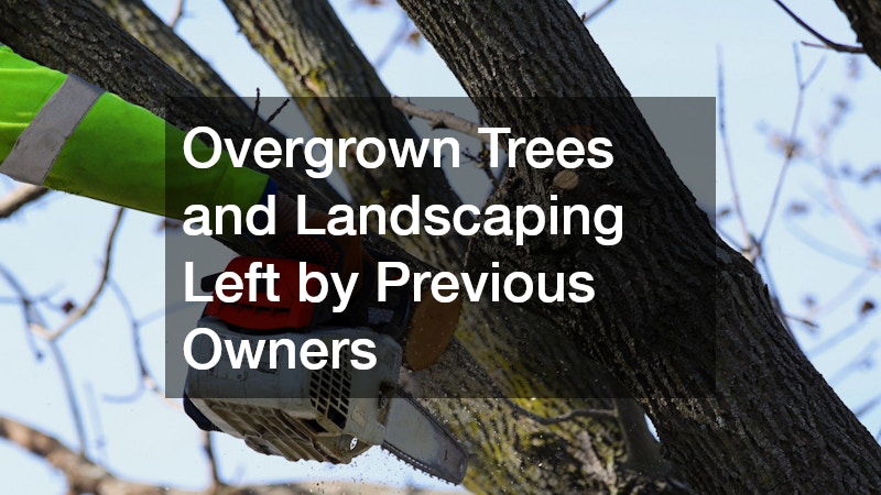 Overgrown Trees and Landscaping Left by Previous Owners