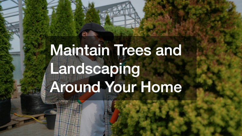 Maintain Trees and Landscaping Around Your Home