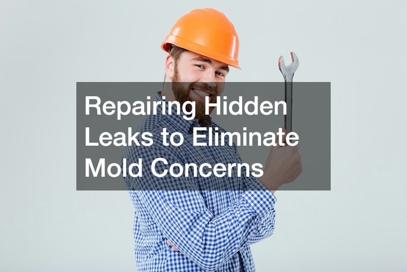Repairing Hidden Leaks to Eliminate Mold Concerns