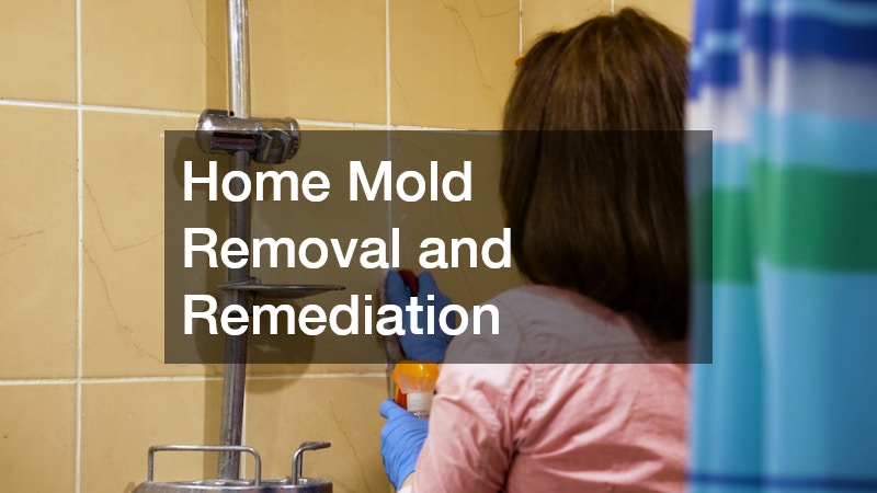 Home Mold Removal and Remediation