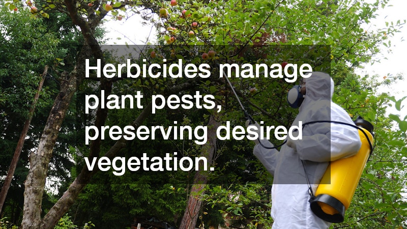 Herbicides manage plant pests, preserving desired vegetation.