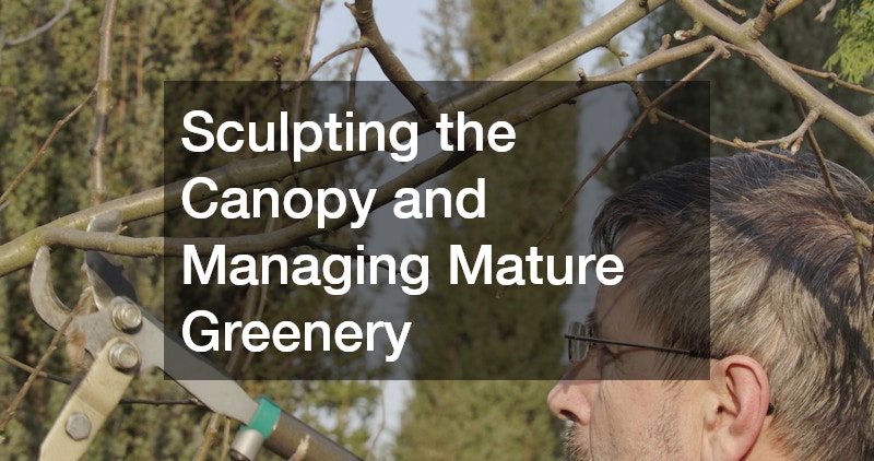 Sculpting the Canopy and Managing Mature Greenery