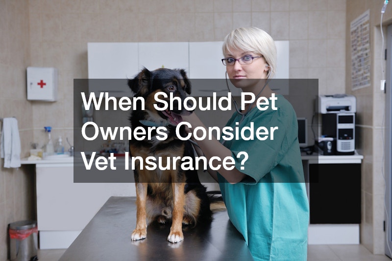 When Should Pet Owners Consider Vet Insurance?