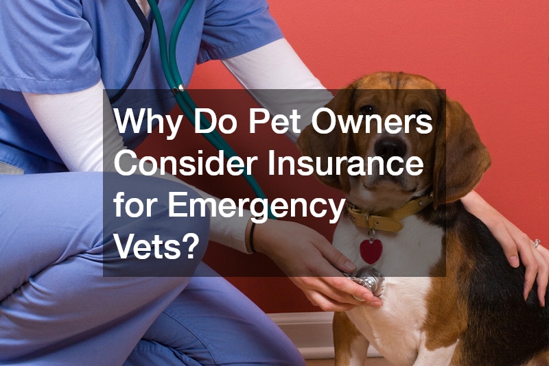 Why Do Pet Owners Consider Insurance for Emergency Vets?