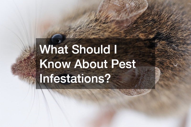 What Should I Know About Pest Infestations?