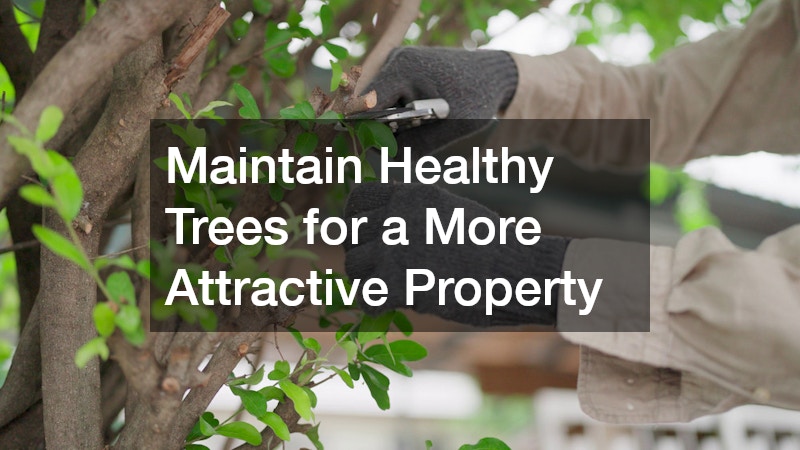 Maintain Healthy Trees for a More Attractive Property