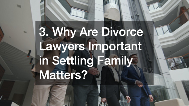 3. Why Are Divorce Lawyers Important in Settling Family Matters?