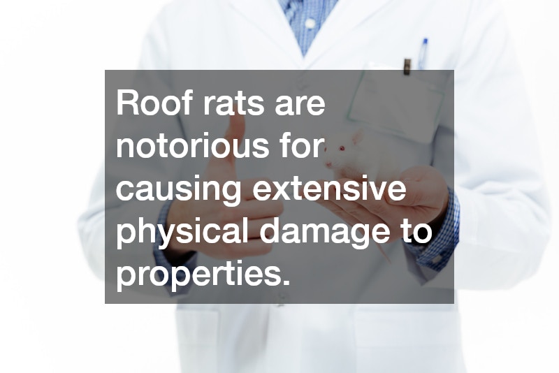Roof rats are notorious for causing extensive physical damage to properties.