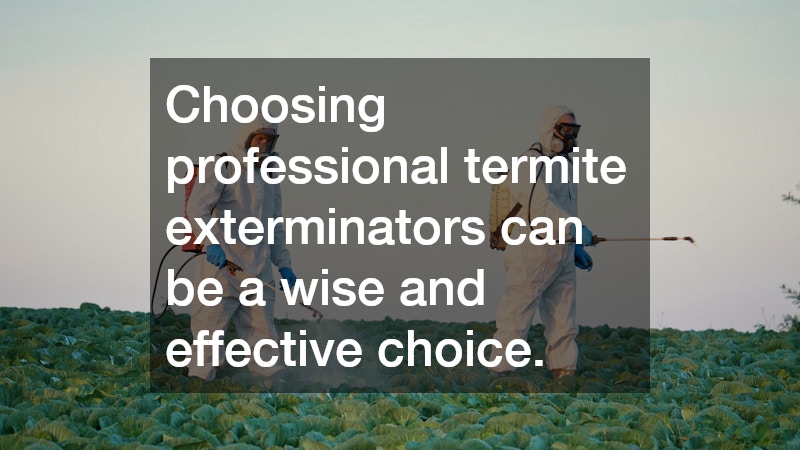 Choosing professional termite exterminators can be a wise and effective choice.