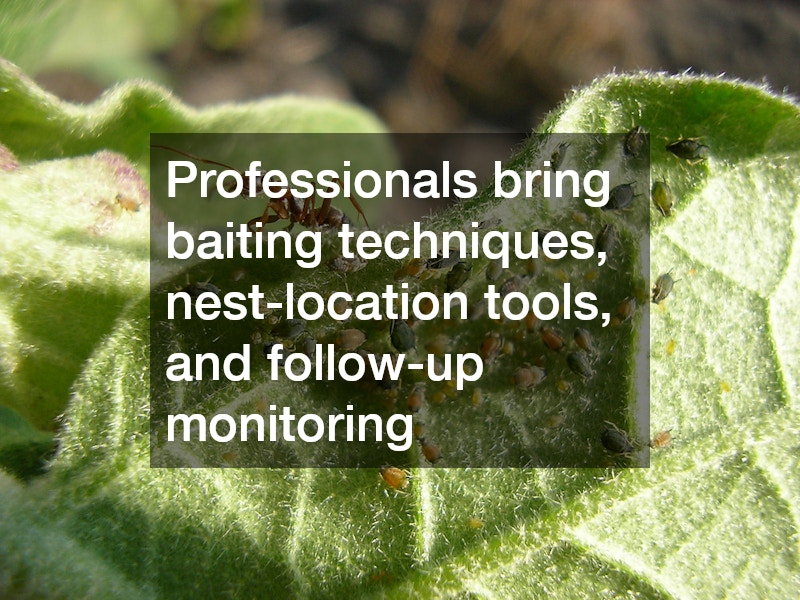 Professionals bring baiting techniques, nest-location tools, and follow-up monitoring