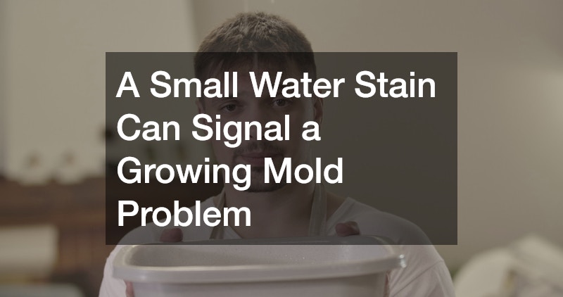 A Small Water Stain Can Signal a Growing Mold Problem