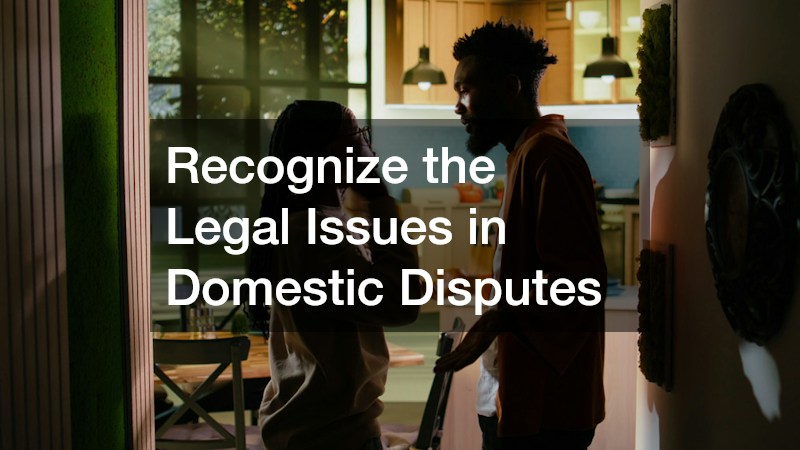 Recognize the Legal Issues in Domestic Disputes