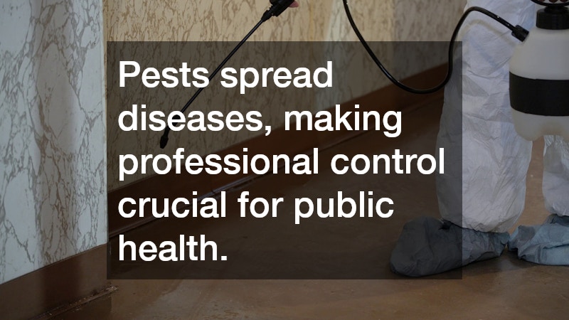 Pests spread diseases, making professional control crucial for public health.