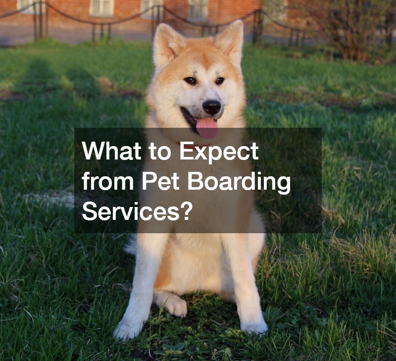 What to Expect from Pet Boarding Services?