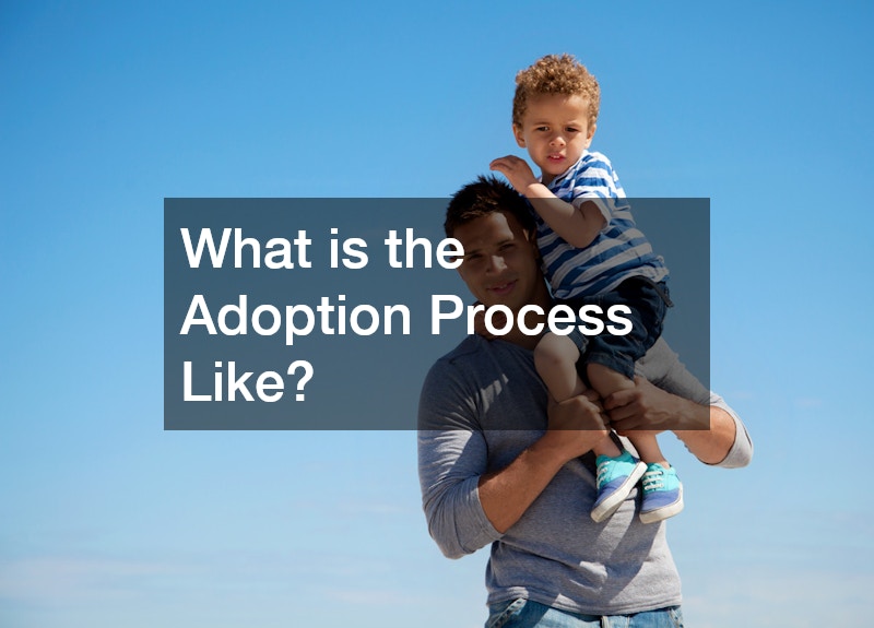 What is the Adoption Process Like?