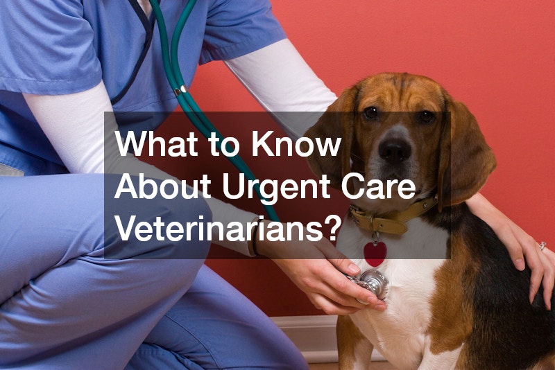 What to Know About Urgent Care Veterinarians?