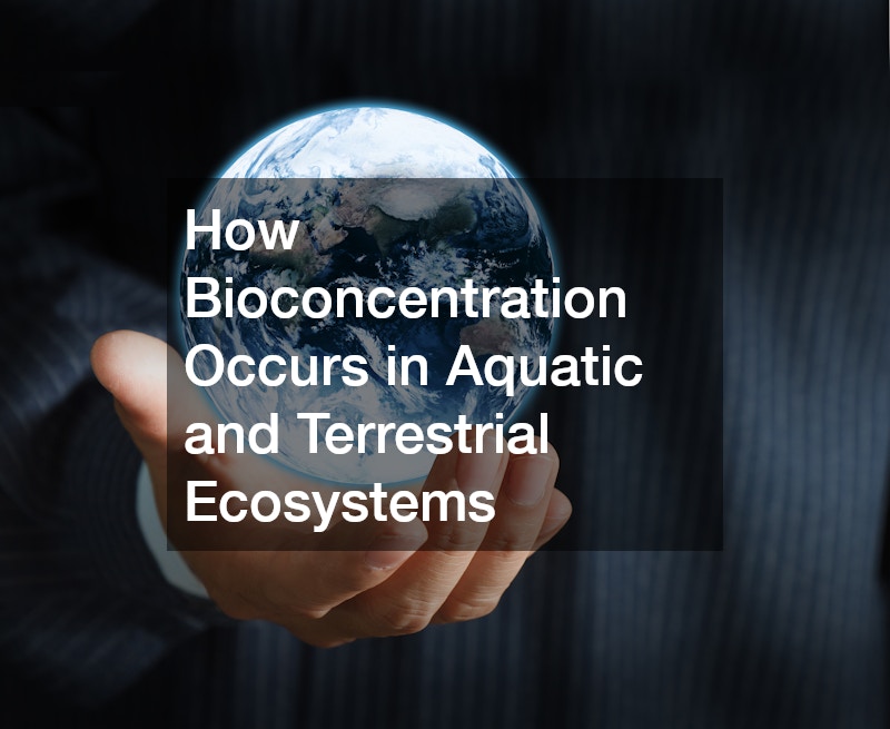 How Bioconcentration Occurs in Aquatic and Terrestrial Ecosystems