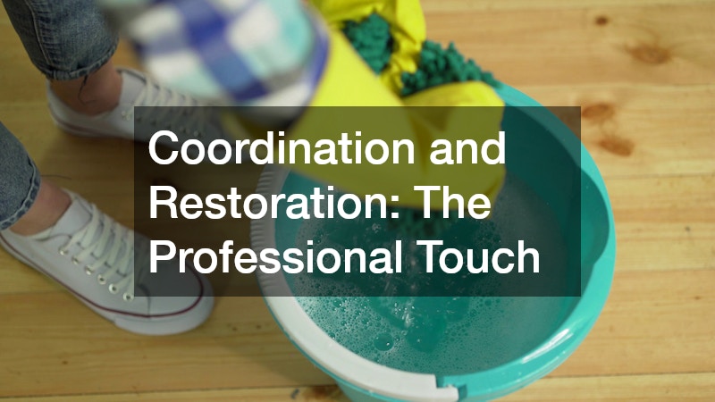 Coordination and Restoration: The Professional Touch